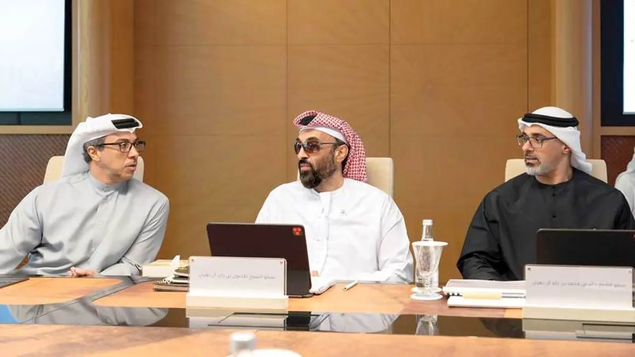 استعراض استثماري برئاسة طحنون بن زايد وحضور منصور بن زايد وخالد بن محمد